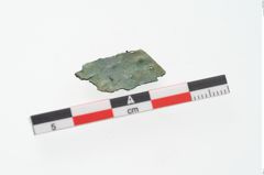 Foto von Bronzeblech (NHMW-PRAE-048355)